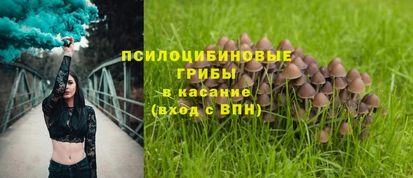 спайс Алексин