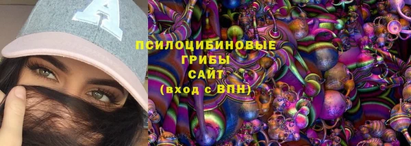 сатива Алексеевка