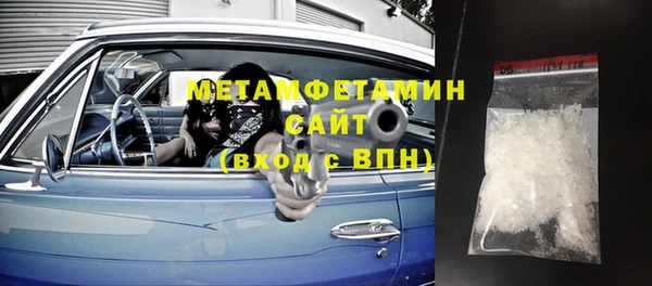 хмурый Пересвет
